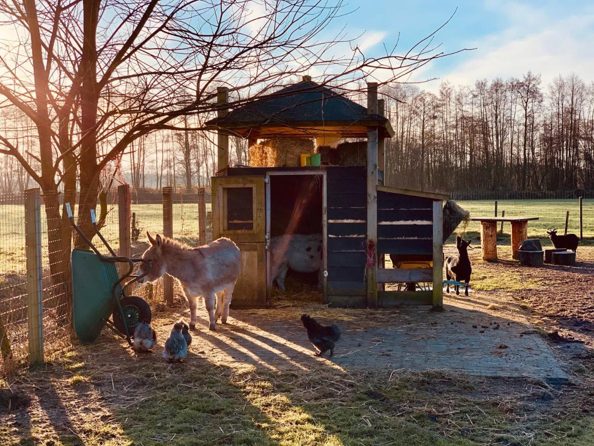 Camping Vossenberg - Op De Veluwe! Epe Extérieur photo
